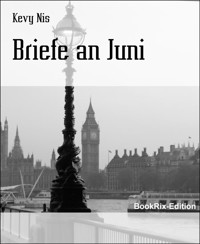 Briefe an Juni - Kevy Nis - E-Book