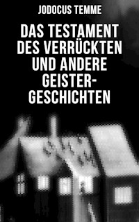 Das Testament des Verrückten und andere Geister-Geschichten - Jodocus Temme - E-Book