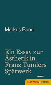 Wirklichkeit im Nachsitzen - Markus Bundi - E-Book