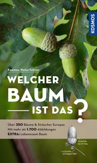 Welcher Baum ist das? - Margot Spohn - E-Book