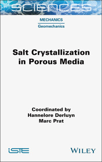 Salt Crystallization in Porous Media - - E-Book
