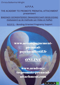 Bindings-georiënteerde Zwangerschapsbegeleiding (B.O.P.S. - Bonding-Oriented Pregnancy Support) - Christa Balkenhol-Wright - E-Book