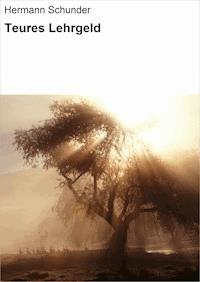 Teures Lehrgeld - Hermann Schunder - E-Book