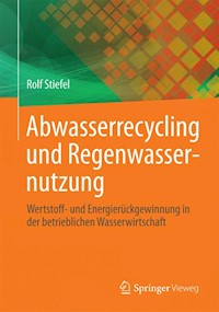 Abwasserrecycling und Regenwassernutzung - Rolf Stiefel - E-Book