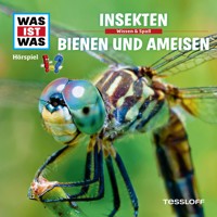 37: Insekten / Bienen und Ameisen - Kurt Haderer - Hörbuch
