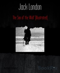 The Son of the Wolf (Illustrated) - Jack  London - E-Book