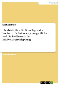 Überblick über die Grundlagen der Insolvenz. Definitionen, Antragspflichten und die Problematik der Insolvenzverschleppung - Michael Belle - E-Book