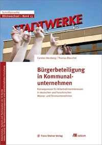 Bürgerbeteiligung in Kommunalunternehmen - Carsten Herzberg - E-Book