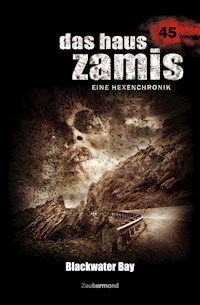 Das Haus Zamis 45 – Blackwater Bay - Rüdiger Silber - E-Book