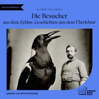 Die Besucher - Alfred Polansky - Hörbuch