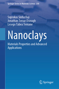 Nanoclays - Suprakas Sinha Ray - E-Book