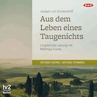 Aus dem Leben eines Taugenichts - Joseph von Eichendorff - Hörbuch