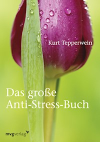 Das große Anti-Stress-Buch - Kurt Tepperwein - E-Book