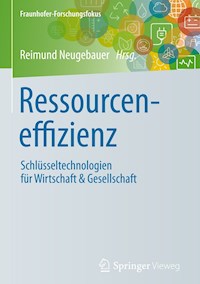 Ressourceneffizienz -  - E-Book
