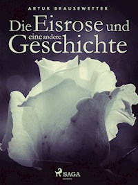 Die Eisrose und eine andere Geschichte - Artur Brausewetter - E-Book