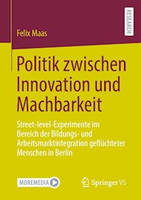 Politik zwischen Innovation und Machbarkeit - Felix Maas - E-Book