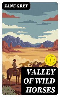 Valley of Wild Horses - Zane Grey - E-Book