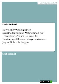 In welcher Weise können sozialpädagogische Maßnahmen zur Entwicklung/ Stabilisierung des Kohärenzgefühls von drogennutzenden Jugendlichen beitragen - David Seifarth - E-Book