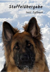 Staffelübergabe - Ineź Sytham - E-Book