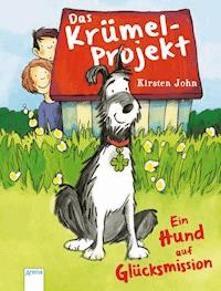 Das Krümel-Projekt - Kirsten John - E-Book