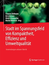 Stadt im Spannungsfeld von Kompaktheit, Effizienz und Umweltqualität -  - E-Book