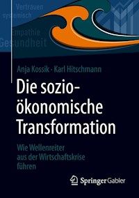 Die sozioökonomische Transformation - Anja Kossik - E-Book