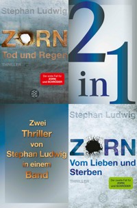 Tod und Regen / Vom Lieben und Sterben – Zwei Zorn-Thriller in einem Band - Stephan Ludwig - E-Book