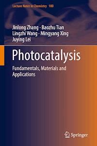 Photocatalysis - Jinlong Zhang - E-Book
