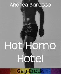Hot Homo Hotel - Andrea Baresso - E-Book