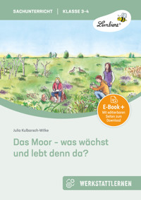 Das Moor - was wächst und lebt denn da? - Julia Kulbarsch-Wilke - E-Book