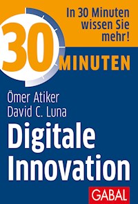 30 Minuten Digitale Innovation - Ömer Atiker - E-Book