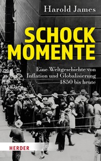 Schockmomente - Harold James - E-Book