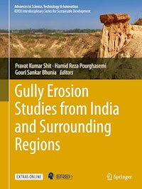 Gully Erosion Studies from India and Surrounding Regions -  - E-Book