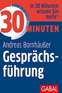 30 Minuten Gesprächsführung - Andreas Bornhäußer - E-Book
