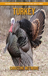Turkey - Fun and Fascinating Facts and Pictures About Turkey - Christine Wetmore - E-Book