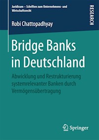 Bridge Banks in Deutschland - Robi Chattopadhyay - E-Book