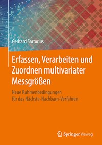 Erfassen, Verarbeiten und Zuordnen multivariater Messgrößen - Gerhard Sartorius - E-Book