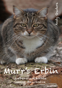 Murr's Erbin - Andy Gudera - E-Book