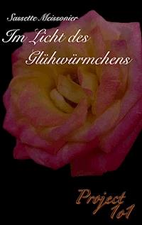 Im Licht des Glühwürmchens - Sassette Meissonier - E-Book