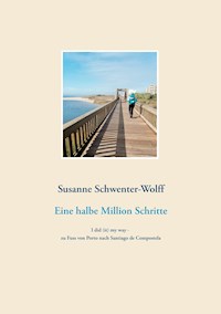 Eine halbe Million Schritte - Susanne Schwenter-Wolff - E-Book