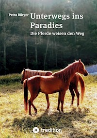 Unterwegs ins Paradies - Petra Bürger - E-Book