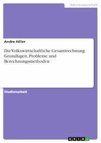 Die Volkswirtschaftliche Gesamtrechnung. Grundlagen, Probleme und Berechnungsmethoden - Andre Hiller - E-Book
