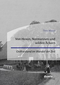 Von Hexen, Normannen und wilden Äckern. Ostfriesland im Wandel der Zeit - Theo Meyer - E-Book