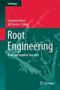 Root Engineering -  - E-Book