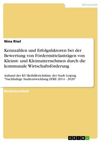 Kennzahlen und Erfolgsfaktoren bei der Bewertung von Fördermittelanträgen von Kleinst- und Kleinunternehmen durch die kommunale Wirtschaftsförderung - Nina Riwl - E-Book