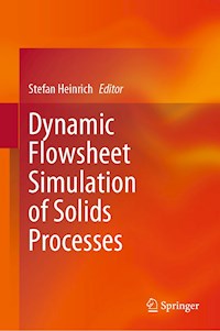 Dynamic Flowsheet Simulation of Solids Processes -  - E-Book