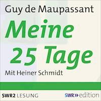 Meine 25 Tage - Guy de Maupassant - Hörbuch