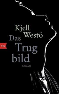 Das Trugbild - Kjell Westö - E-Book