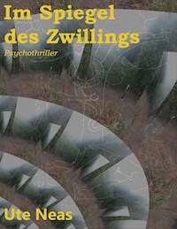 Im Spiegel des Zwillings - Ute Neas - E-Book