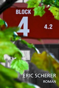 Block 4.2 - Eric Scherer - E-Book
